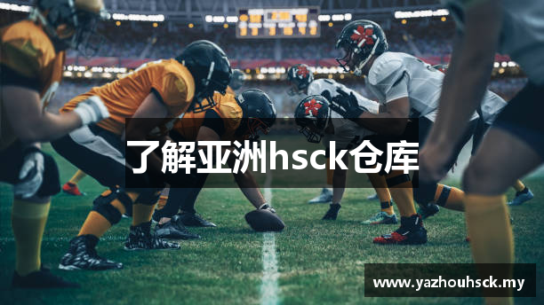 了解亚洲hsck仓库